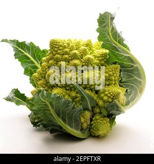 Fresh romanesco broccoli or cauliflower isolated on white background. Closeup. Stock Photo