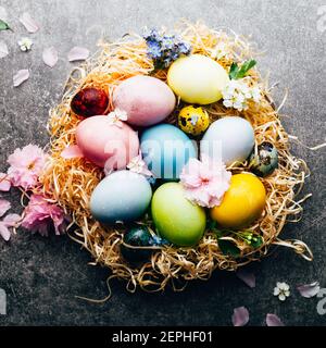 Homemade naturally dyed eggs in pastel colors Stock Photo