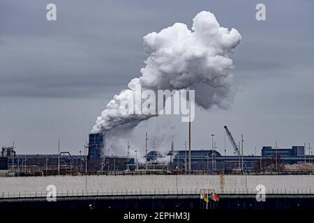 Residents Plan to Sue Tata Steel Ijmuiden