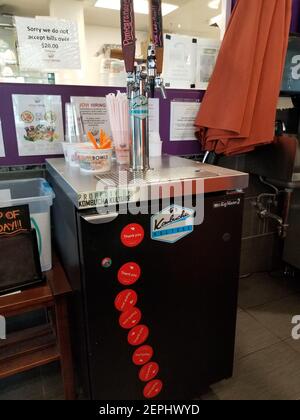Close-up of machine for dispensing the popular health drink Kombucha, from Kombucha Culture, with chiller and keg-style taps visible, in Lafayette, California, May 30, 2019. (Photo by Smith Collection/Gado/Sipa USA)