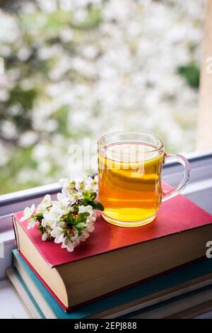 Tea cup and blooming branch on books at window. Still life with drink, book and flower on parapet. Relaxation in home at spring morning Stock Photo