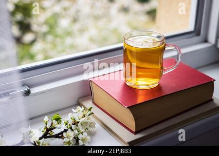 Tea cup on books and flowering branch at windowsill. Relaxation in home at springtime. View from vindow to blooming tree Stock Photo