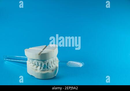 View of the impression of a bit, with the upper and lower jaw in front of a light, blue background. There's another toothbrush between the jaws Stock Photo