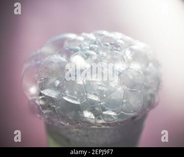 A glass with soap foam and bubbles on a blue background. Stock Photo