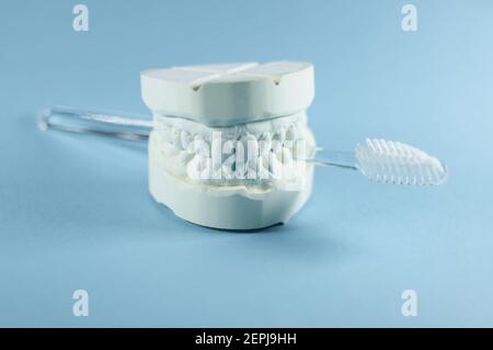 View of the impression of a bit, with the upper and lower jaw in front of a light, blue background Stock Photo