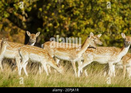 Herd of Fallow white spotted Deer Hinds grazing in a field at Studley Royal Ripon North Yorkshire, England, UK - Digital Watercolour Effect. Stock Photo