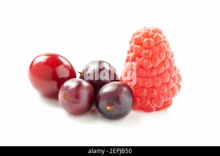 berries isolated on white. raspberry, cherry, currant collection. fruit set closeup Stock Photo