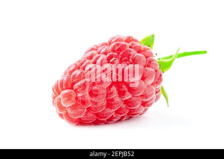 raspberry isolated on white. sweet fresh fruit with green stem and leaf Stock Photo
