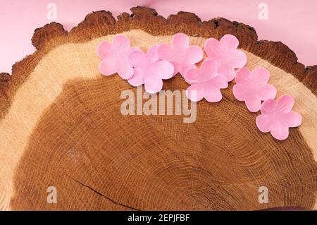 A tree slice from an older tree is used as a background. Several pink flowers are decorated on it Stock Photo