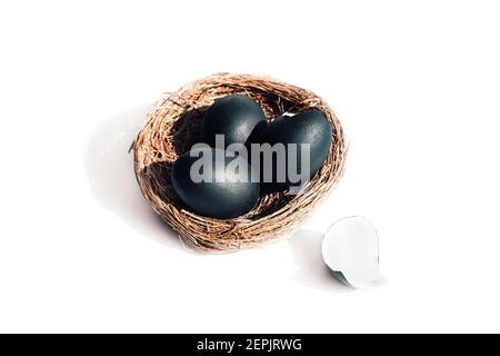 Birds nest with black eggs on white background, isolated. One egg broken Stock Photo