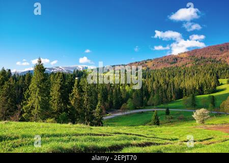 countryside landscape in the morning. beautiful mountain landscape in springtime. sunny weather with fluffy clouds. snow on the summit in the distance