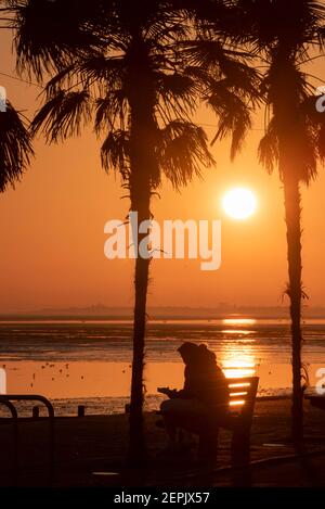 Southend on Sea, Essex, UK. 27th Feb, 2021. The warm sunny weather has attracted visitors to Southend, with the seafront roads especially busy. People are walking the seafront promenades into the evening as the sun set behind the palm trees. Person sitting on the promenade of Western Esplanade as the sun goes down during the COVID 19 lockdown Stock Photo