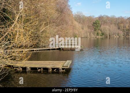 Mytchett Lake in Surrey, England, UK, on a sunny winter day Stock Photo