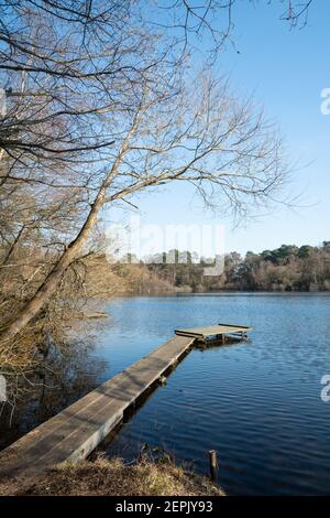 Mytchett Lake in Surrey, England, UK, on a sunny winter day Stock Photo