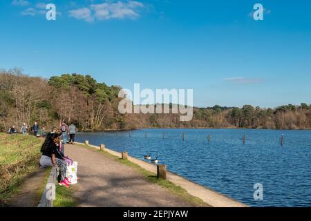 People relaxing by Mytchett Lake in Surrey, England, UK, on a sunny winter day Stock Photo
