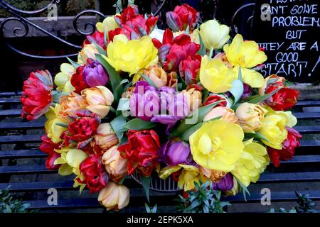 Tulipa bunch / bunch of mixed tulips Stock Photo