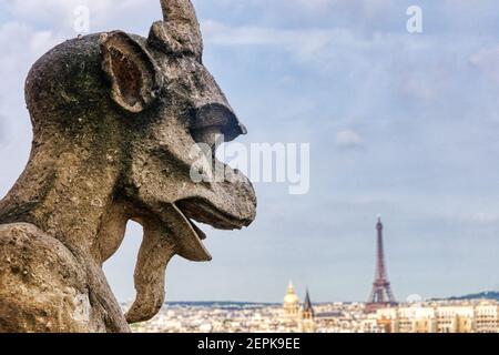 The view across Paris from the tower of Notre Dame de Paris with the gargoyles with the Eiffel Tower on the skyline Stock Photo