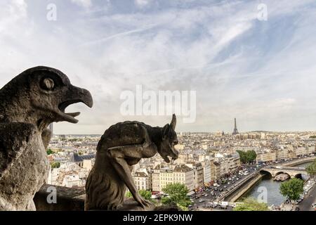 The view across Paris from the tower of Notre Dame de Paris with the gargoyles with the Eiffel Tower on the skyline Stock Photo