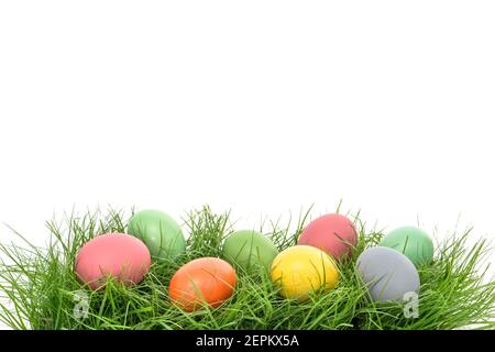 Colorful easter eggs in green grass over white background Stock Photo