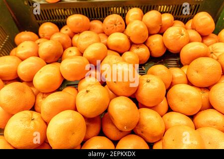 Fresh tangerines in the store close-up. Crates full of ripe mandarin and clementines oranges for sale at the counter Stock Photo