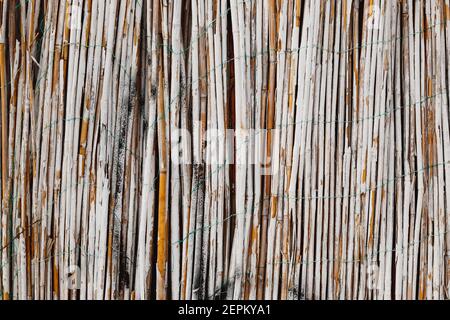 White painted bamboo fence. Close-up of bamboo texture. Wooden background from natural materials. Stock Photo