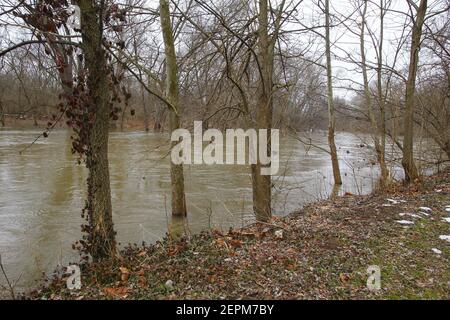 Olentangy River Flooding in River, Ohio Stock Photo