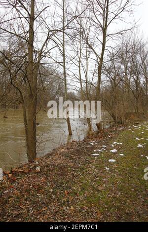 Olentangy River Flooding in River, Ohio Stock Photo