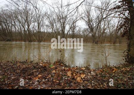 Olentangy River Flooding in River, Ohio Stock Photo