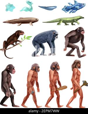 Colored and isolated darwin evolution icon set with transition from era to era vector illustration Stock Vector
