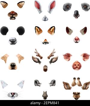 Colored cute animal masks video chat application effect filters icon set with ears of the nose and mouths vector illustration Stock Vector