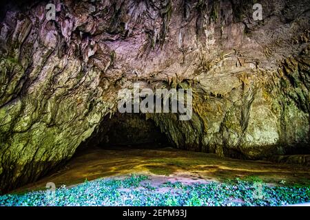 Natural tunnel and cave entrance in Skocjan valley, Slovenia Stock Photo