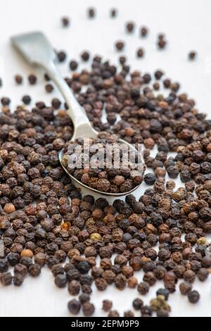 Black peppercorns and spoon on a white background Stock Photo