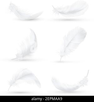 Realistic white bird feathers images set in 6 various positions and angles with shadow isolated vector illustration Stock Vector