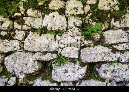 Stone wall with moss on the path to Savica waterfall, Slovenia Stock Photo