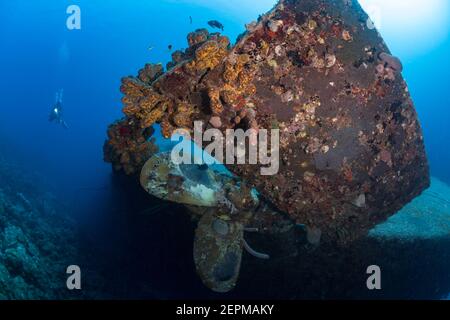 Scuba Diver next to the Prop of the Hilma Hooker Wreck, Bonaire, Leeward Antilles Stock Photo