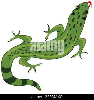 Lizard type overhand on white background is insulated Stock Vector