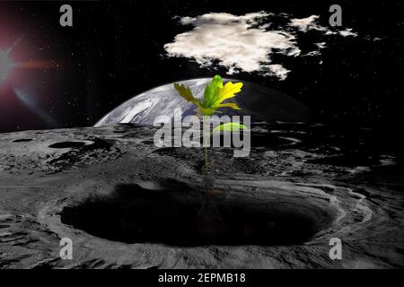 Colonization of the Moon, attempts to grow trees on the lunar surface. Sci-fi collage, elements of this image furnished by NASA. Stock Photo