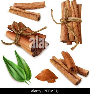 Set of realistic cinnamon sticks with spicy powder, green leaves isolated on white background vector illustration Stock Vector