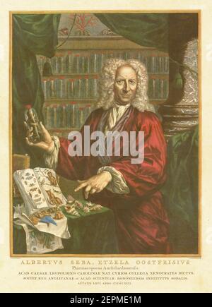 Albertus Seba, Dutch apothecary, scientist and merchant (1665-1736), showing a lizard in a bottle. Hand-colored copperplate engraving published in Cab Stock Photo