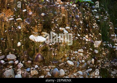 Soil and stone wall at Pathway in jungle go to Pha Chor canyon cliffs on nature trailing wild forest of Mae Wang National Park at Doi Lo city in Chian Stock Photo