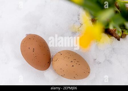 Decorative eggs and yellow daffodils in a pot on a background of snow. Spring, Easter concept. There is a place for text. High quality photo Stock Photo