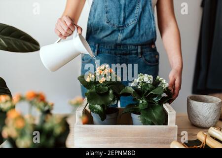 Young cheerful overweight female taking self portrait on cell phone near bright wall Stock Photo