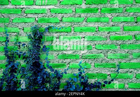 Surreal pop art style neon green colored brick wall with indigo blue growing plant Stock Photo