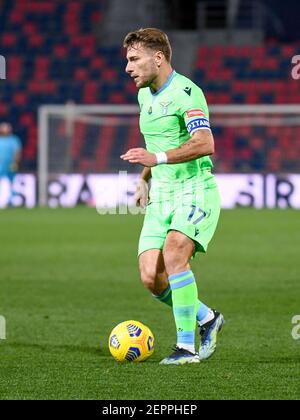 Ciro Immobile Bologna During The Italian Championship Serie A Match ciro-immobile-bologna-during-the-italian-championship-serie-a-match