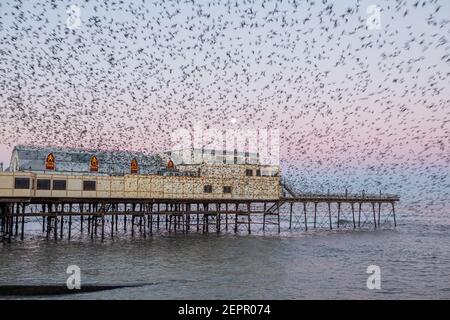 Aberystwyth, Ceredigion, Wales, UK. 28th February 2021 UK Weather: Clear frosty morning in Aberystwyth as the full moon begins to set whilst the starlings leave their overnight roost from the underside of Aberystwyth pier. © Ian Jones/Alamy Live News Stock Photo