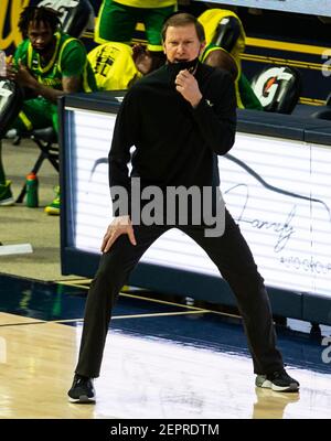 Hass Pavilion Berkeley Calif, USA. 27th Feb, 2021. CA U.S.A. Oregon head coach Dana Altman during the NCAA Men's Basketball game between Oregon Ducks and the California Golden Bears 74-63 win at Hass Pavilion Berkeley Calif. Thurman James/CSM/Alamy Live News Stock Photo