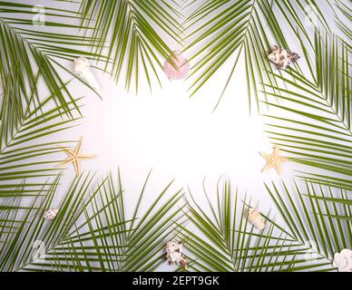 Hello Summer background with green palm leaves and seashells on a blue background with empty space for text. Stock Photo
