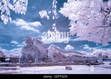 Ancient reclining Buddha Image taken in infrared in Wat Lokaya Suttharam, the travel destination for tourists in Ayutthaya, Thailand Stock Photo