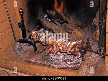 Birds roasted Stock Photo
