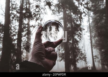 Lensball photography in a misty forest woodland scene Stock Photo